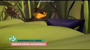 Заставка Далее И Анонс (TiJi 13.01.2020 17_14)