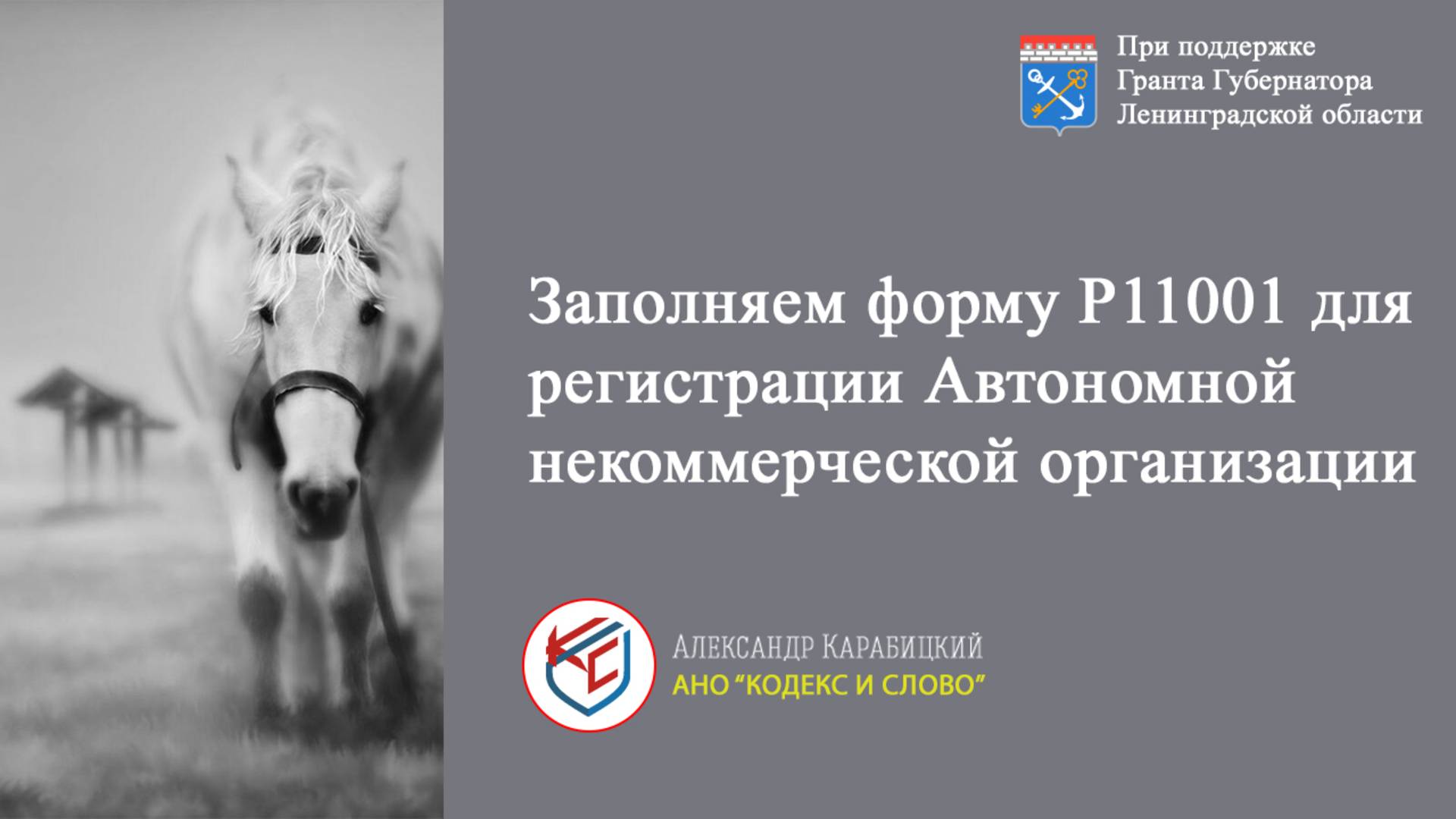 Выпуск 3. Как заполнить форму Р11001 для Автономной некоммерческой организации