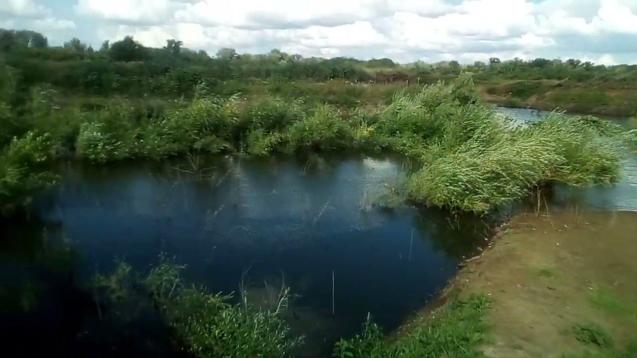 25 июля 2024 г.