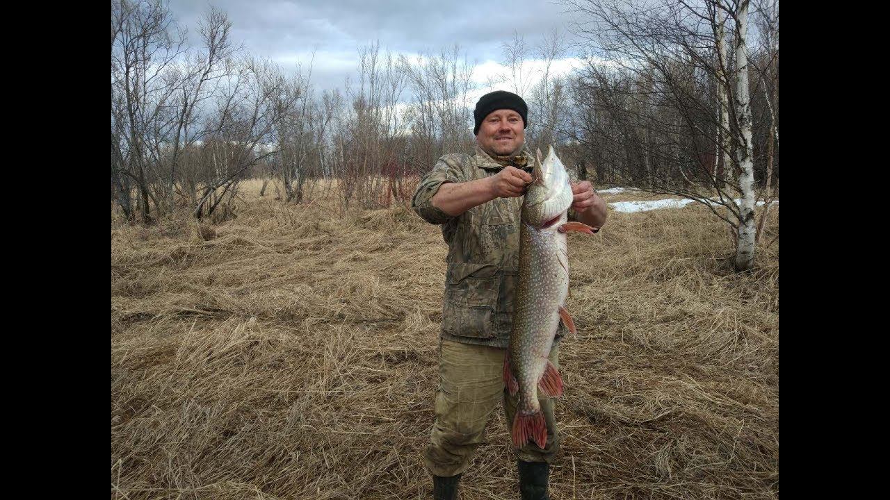 ОГОНЬ ВОТ ЭТО РЫБАЛКА - ТАК РЫБАЛКА!!!!!!! смотреть онлайн