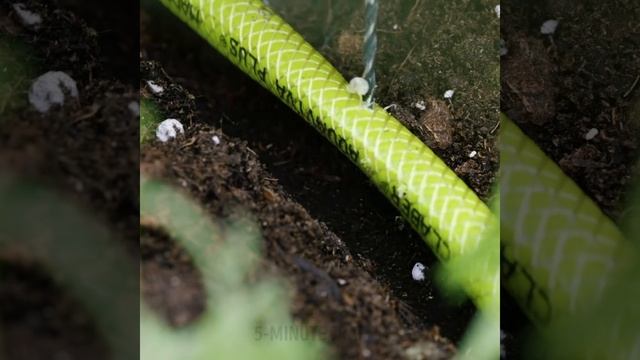 28 useful PLANTING hacks for your garden смотреть онлайн