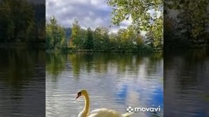 Камила Хайризаманова - Өҙгөләмә