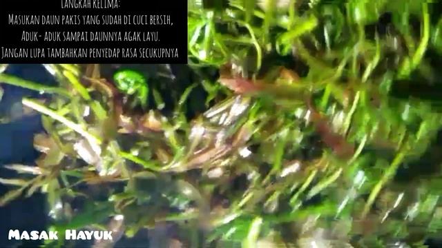 Tumis pakis /paku/ bahasa sambasnya miding tersimpel hanya dengan bawang merah dan putih смотреть онлайн