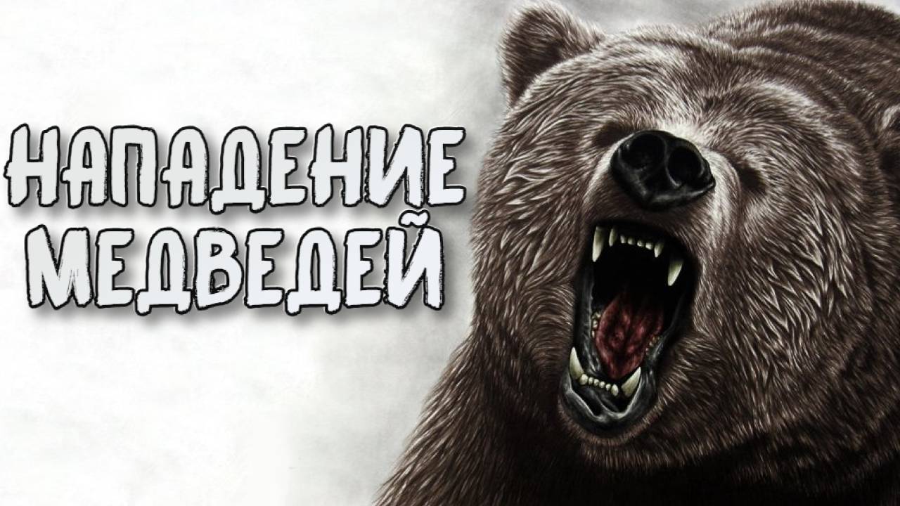 Wartales➤Нападение Медведей смотреть онлайн