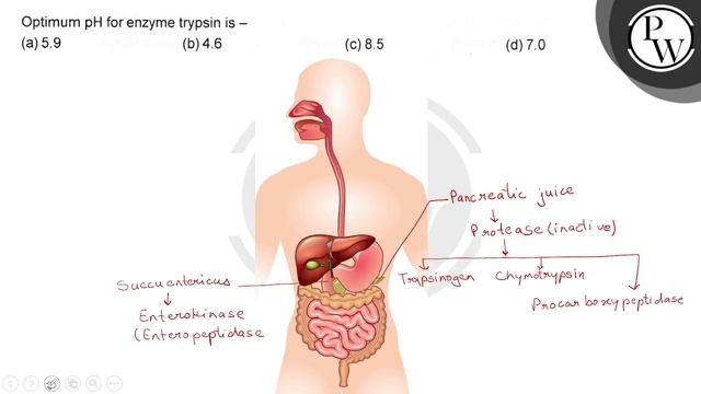 Optimum \( \mathrm{pH} \) for enzyme trypsin is - (a) \( 5.9 \) (... смотреть онлайн