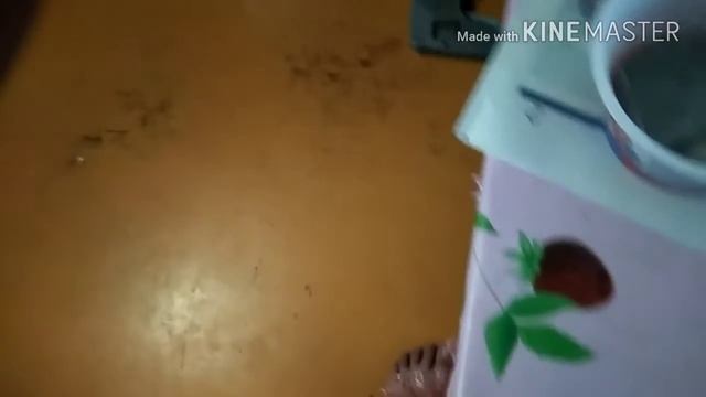 Я поймал матку нигера "садового муравья🐜🐜🐜🐜🐜🐜 смотреть онлайн
