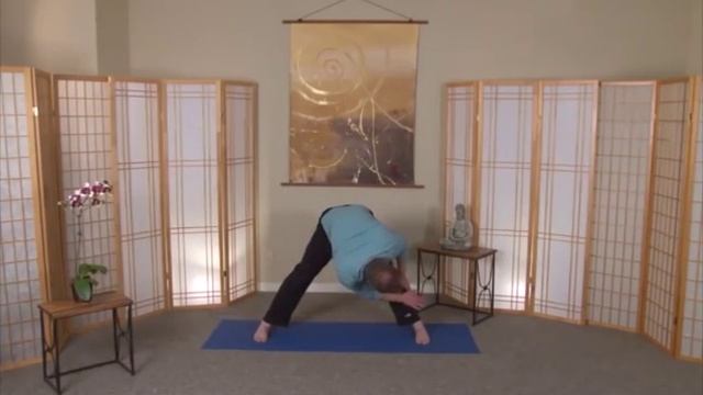 Цигун для иммунитета с Ли Холден смотреть онлайн