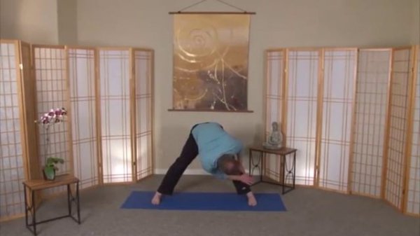 Цигун для иммунитета с Ли Холден