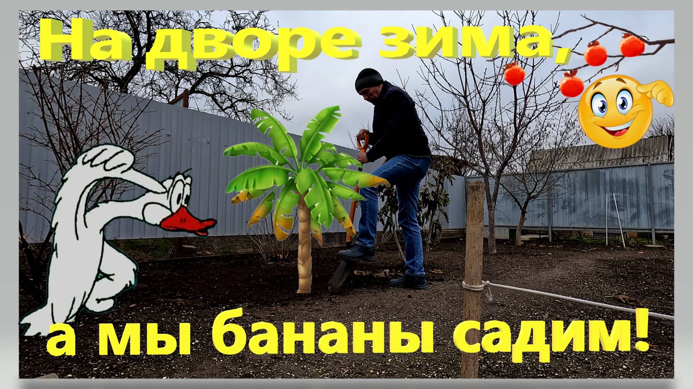 На дворе зима, а мы бананы садим! Жизнь в частном дома на севере Кубани. Ейск. смотреть онлайн