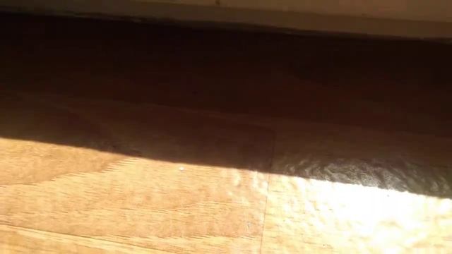 мышка сосиска криска ириска кто бутерброд авокадо бегемот смотреть онлайн