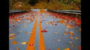 Сентябрь гулял,кружил листвой