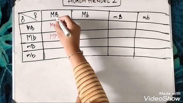 Hukum Mendel 2 (dihibrid) for teori & praktikum смотреть онлайн