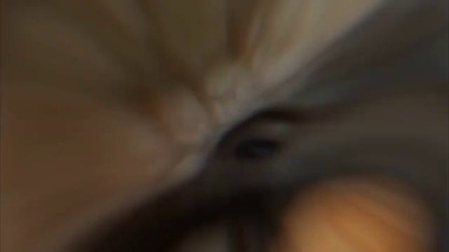 Самые Милые Животные 😍