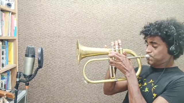 Phantom of the Opera -cover-Fliscorno-(Cesar Cintra) смотреть онлайн