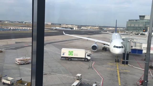 FLIGHT #4 / Lviv🔜Conifer ❤️ смотреть онлайн