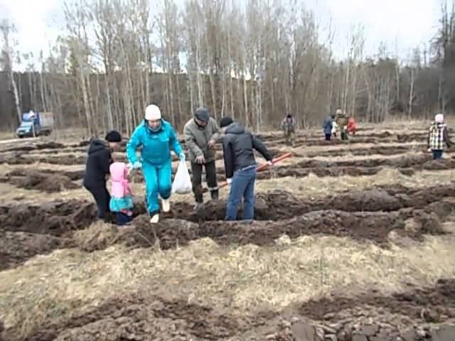 DSCF5174 смотреть онлайн