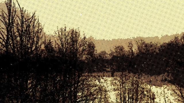 Nuclear Winter
