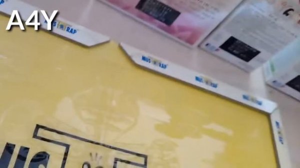 Mouse & Rat Glue Traps Review