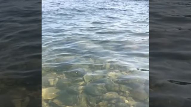 Дайвинг смотреть онлайн