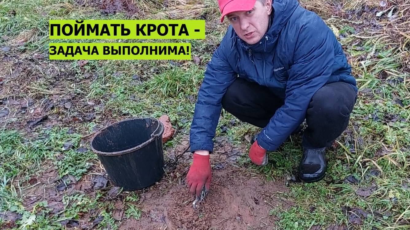 Поймать крота - задача выполнима! Отличия кротовых ходов. Информация, сильно влияющая на результат!