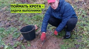 Поймать крота - задача выполнима! Отличия кротовых ходов. Информация, сильно влияющая на результат!