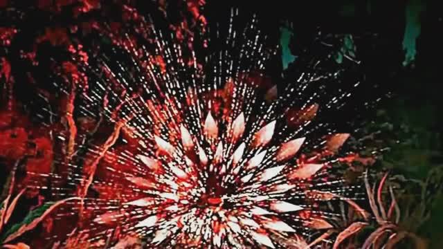 Заставка передачи "В гостях у сказки" с песней из сказки "Там, на неведомых дорожках" смотреть онлайн