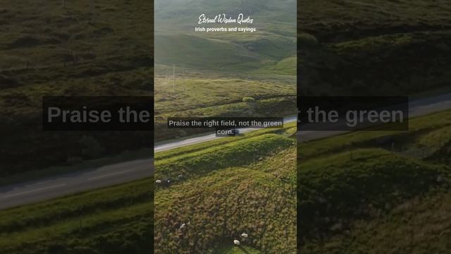 The Top Irish Proverbs and Sayings: A Treasure Trove of Cultural Wisdom смотреть онлайн