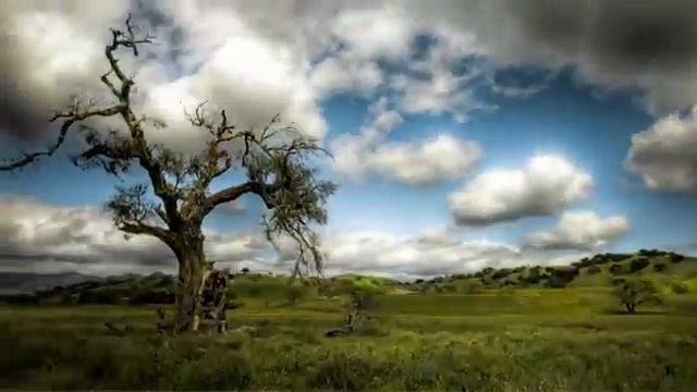 Stomacher Untitled Dark Divider(Тёмный делитель) смотреть онлайн