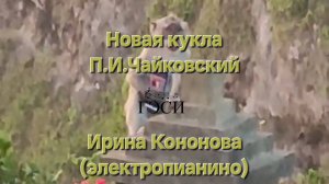 Новая кукла. П.И.Чайковский. Детский альбом.