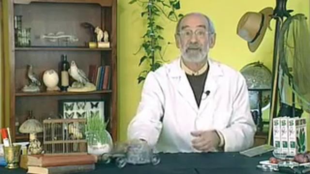 Pila de hidrogeno смотреть онлайн