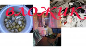 влог маринованные шампиньоны/ #выходные с детьми