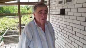 В гостях у Михаила Михайловича голубевода-селекционера (Донецк 2021г)