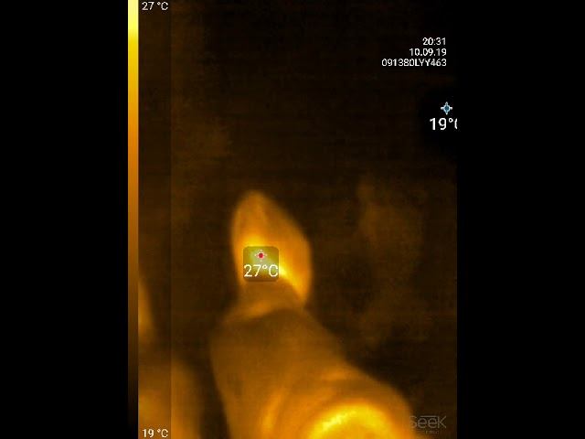 thermalVideo 1568133047618 смотреть онлайн