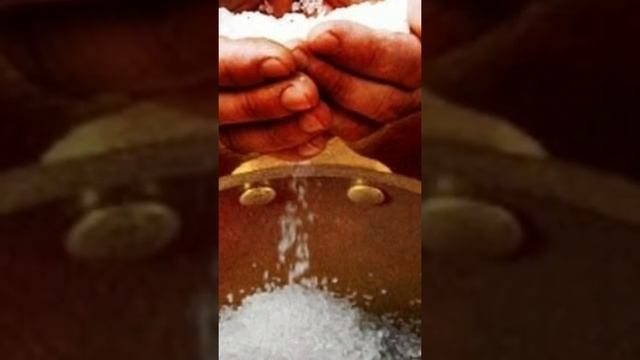 Снять порчу с животного смотреть онлайн