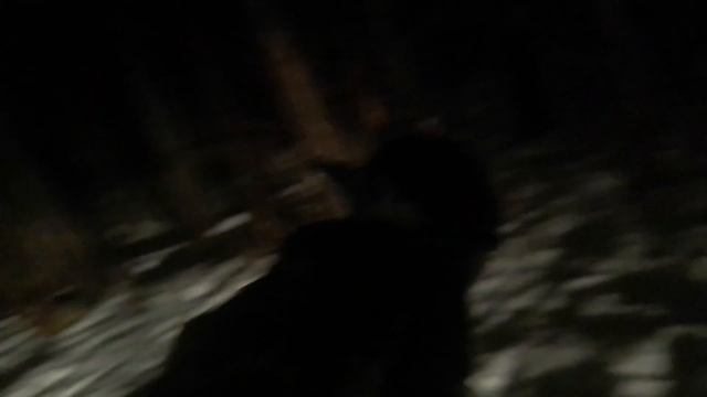 30.12.22. #вечернийвечер #выпустили! смотреть онлайн