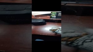 VID_20241208_200249.mp4