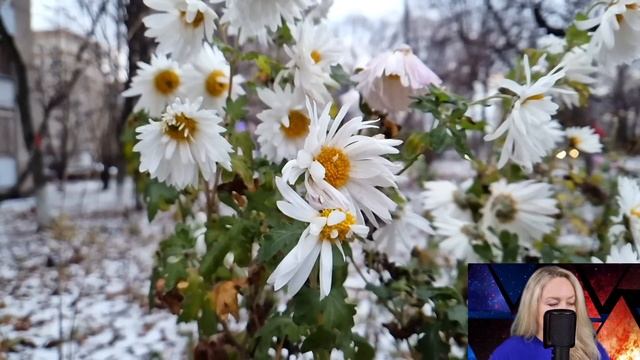 - Катенька, я продала дом и буду жить теперь с вами - невестка застыла от наглости свекрови... смотреть онлайн