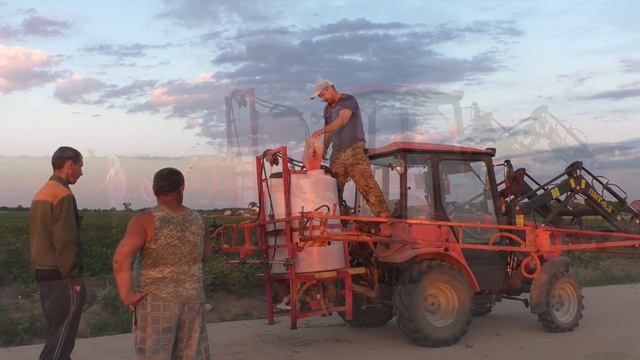 борьба с каларадским жуком на картофельном поле смотреть онлайн