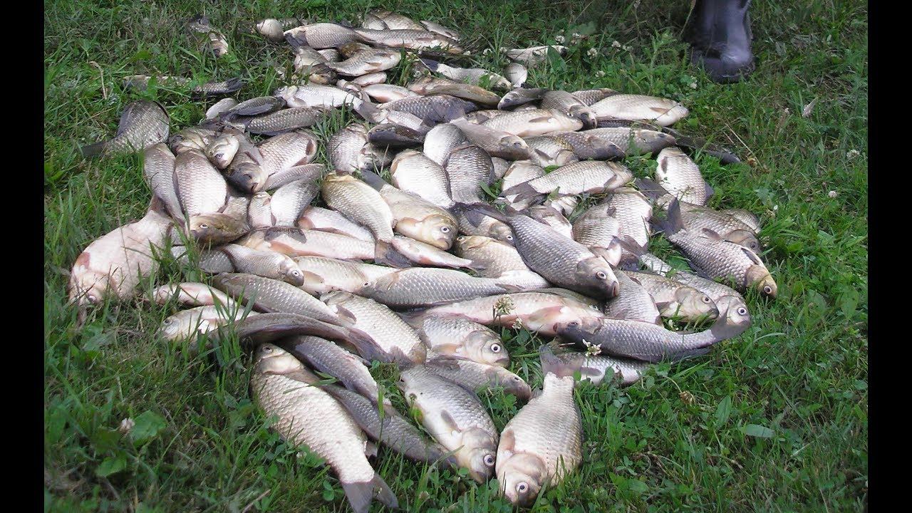 Немного ностальгии!!!!!! Это ЖЕСТЬ СКОЛЬКО карася!!!!!!!!!! смотреть онлайн