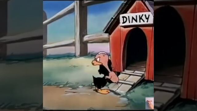 Classic Cartoons Episode 3 | Kashi Cartoons