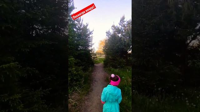 природа России. озеро. птицы. красивые места. отдых на природе. родник. ручей смотреть онлайн