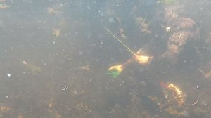 Лучшая лодка для подводной охоты.