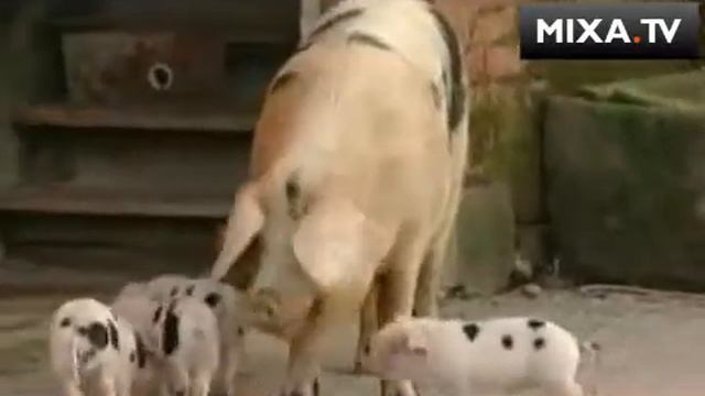 вакцинация 2 смотреть онлайн