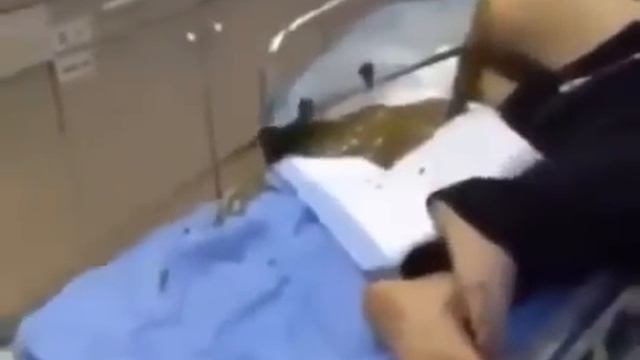 После уличных чебуреков(1) смотреть онлайн