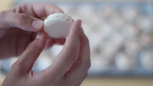 Praline Macarons смотреть онлайн
