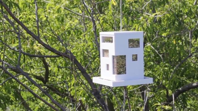 Bird Cafe Feeder