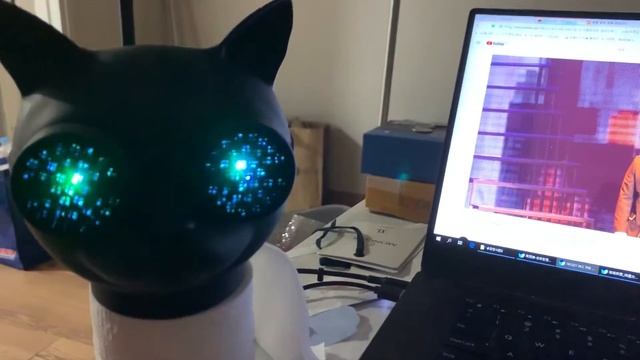 네이버에 고양이 스피커를 검색하세요 смотреть онлайн