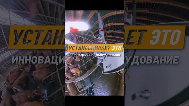 🔥🔥 СКОРО ВЫЙДЕТ НОВОЕ ВИДЕО О НАШИХ ПОИЛКАХ ОТ 