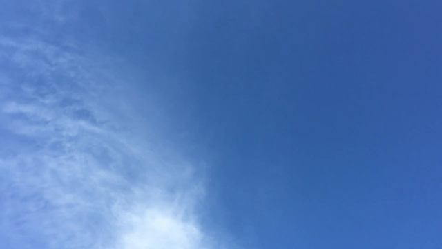 Николаевские голуби. Тренировка молодых (3) смотреть онлайн