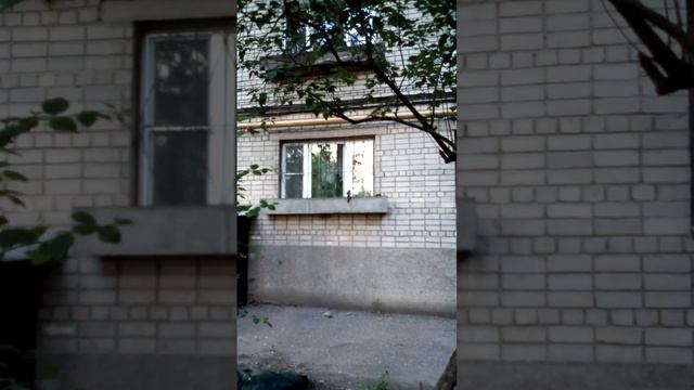 Загадка - кто здесь хищник? смотреть онлайн